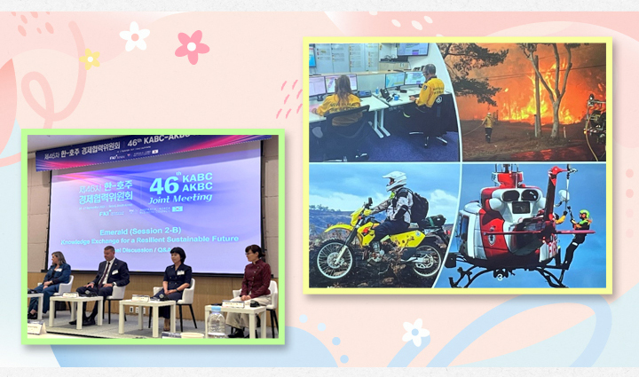 재난 대응 인프라 구축과 교육훈련 지원 등 단계적으로 추진