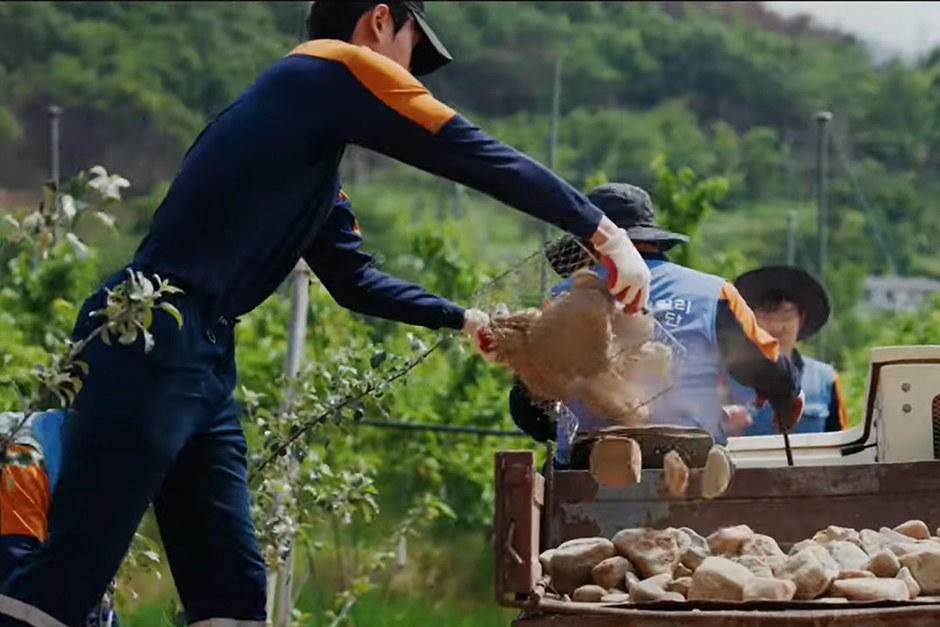 202510211516537330.jpg 포스코 임직원들이 산불피해 지역 농가에서 Change My Town 활동하는 모습